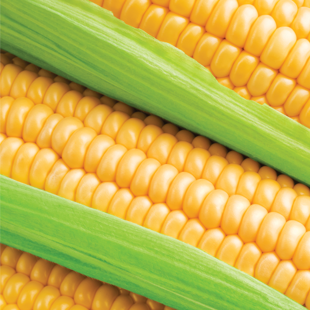 Corn